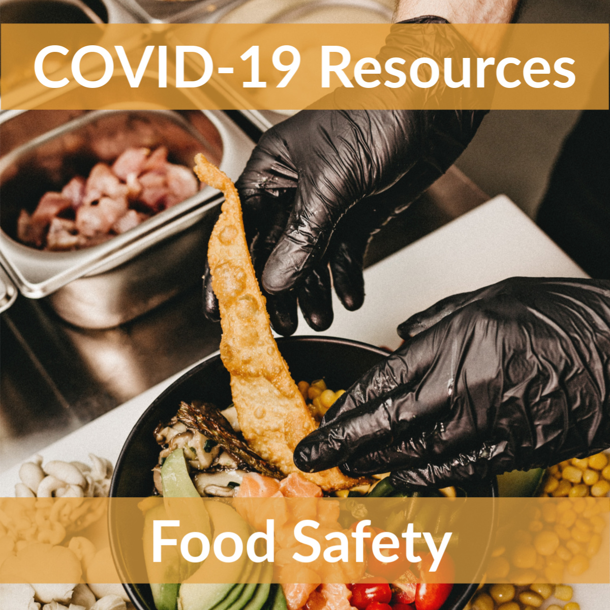 COVID19 Resources State Resources